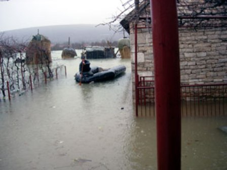 Trebišnjica foto_Srna