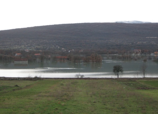 Bileća