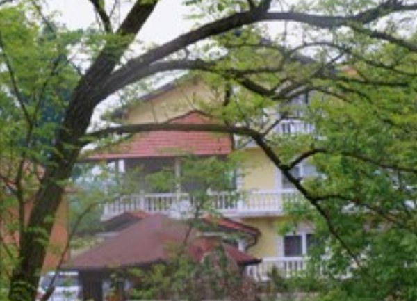 kuća-živinice