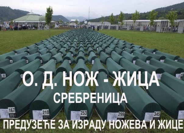 noz zica