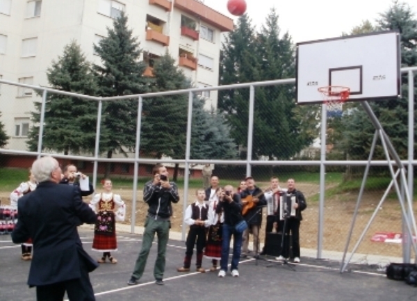 starcevica