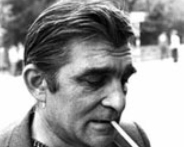 Miroslav Antić