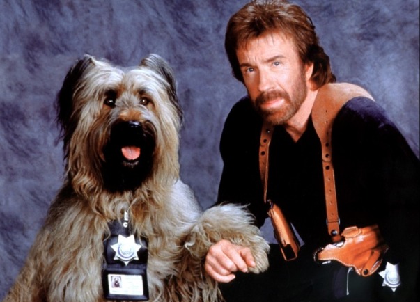 chuck norris