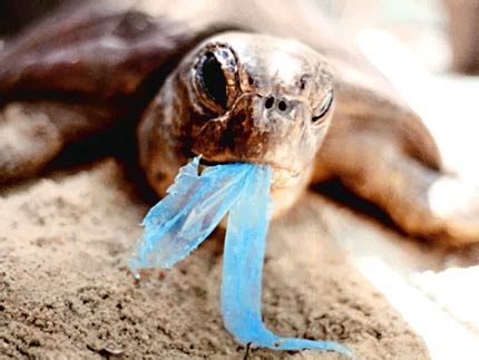 Plastične kese Plastične kese