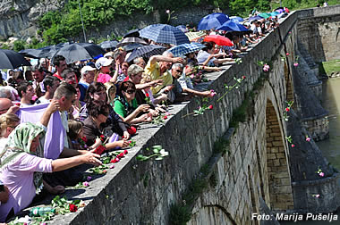 visegrad 3000 ruza