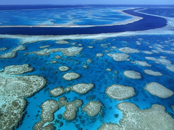 grebeni australija
