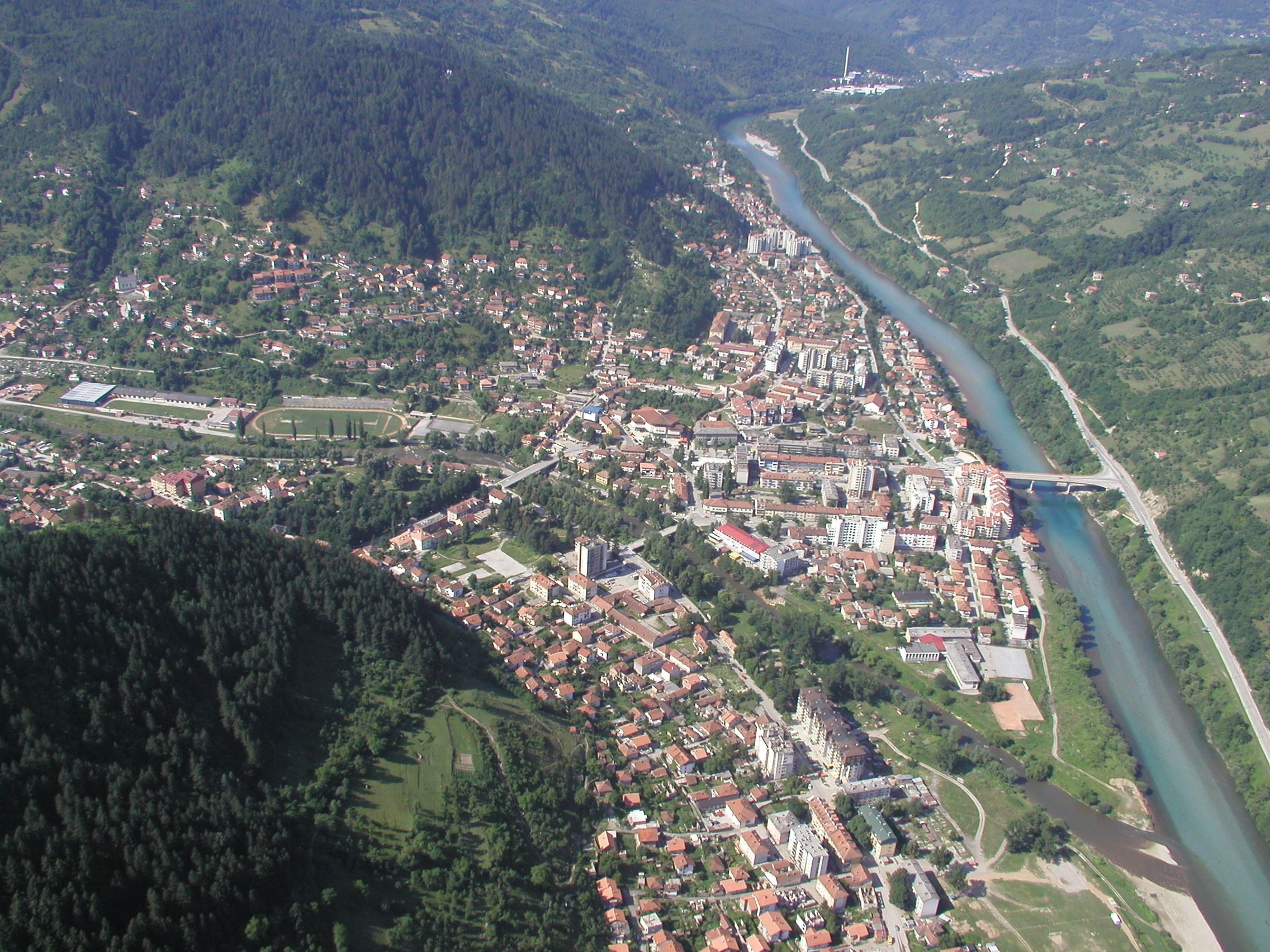 foča foča
