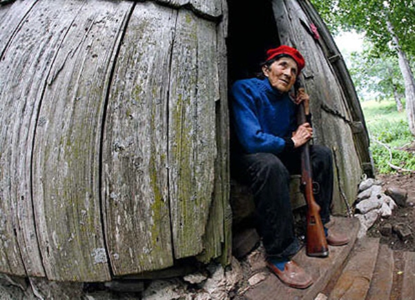 virdzina3 virdzina3