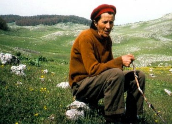 virdzina virdzina