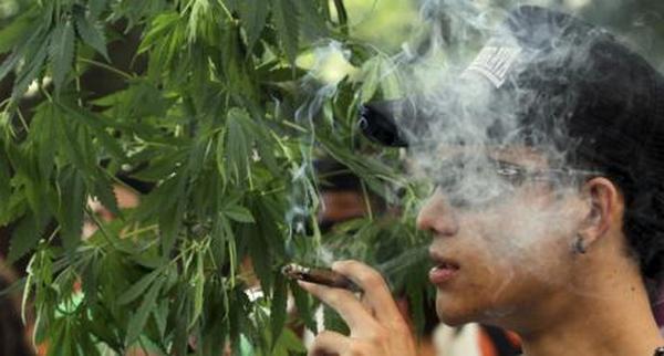 ganja ganja
