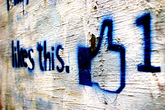 novi - fb novi - fb