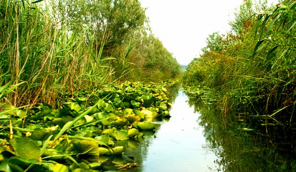 Hutovo blato prije požara; foto: Capljina.ba Hutovo blato prije požara; foto: Capljina.ba