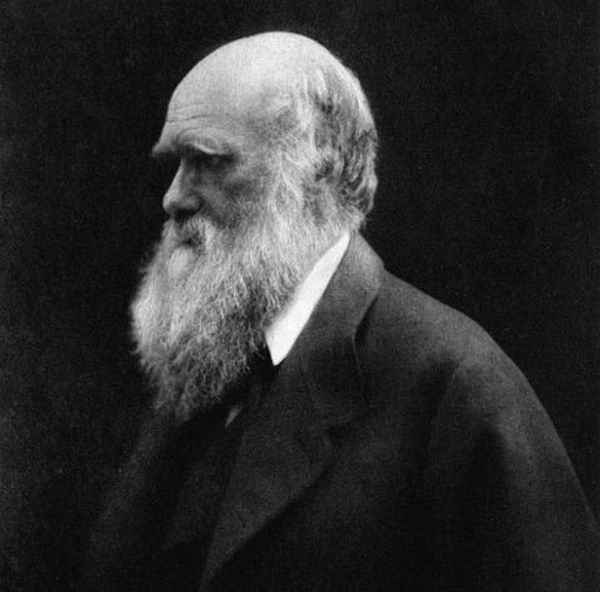 darwin