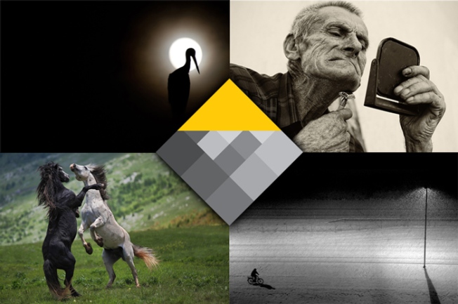 FOTO GODINE 2011