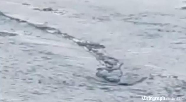 Čudovište iz rijeke Jokulsa Čudovište iz rijeke Jokulsa