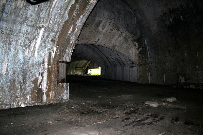 zeljava6 zeljava6