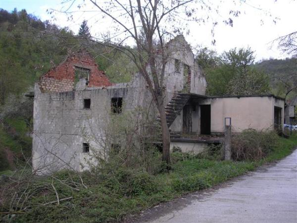 Trusina