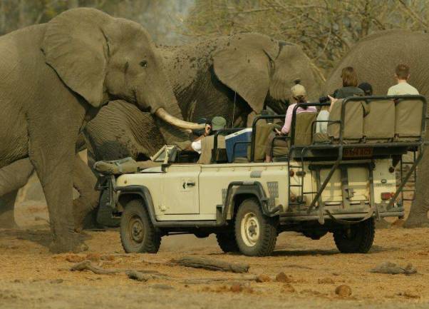 safari afrika safari afrika