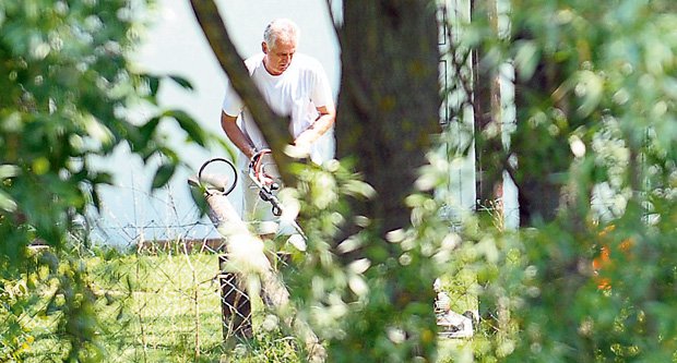 nikolic kosi1 nikolic kosi1