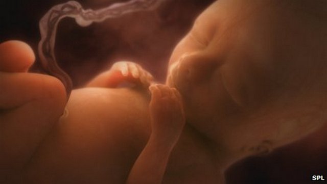 Dešifrovan genom ljudskog fetusa starog 18 nedjelja Dešifrovan genom ljudskog fetusa starog 18 nedjelja
