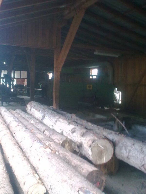 rogatičke smrče