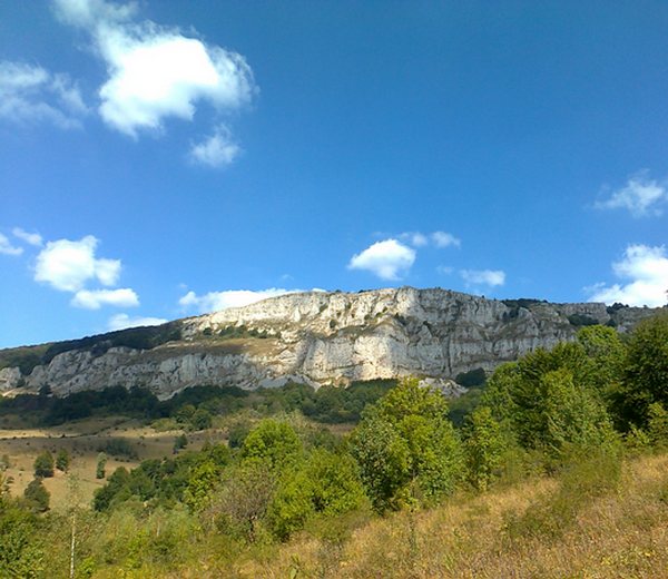 BELJANICA BELJANICA