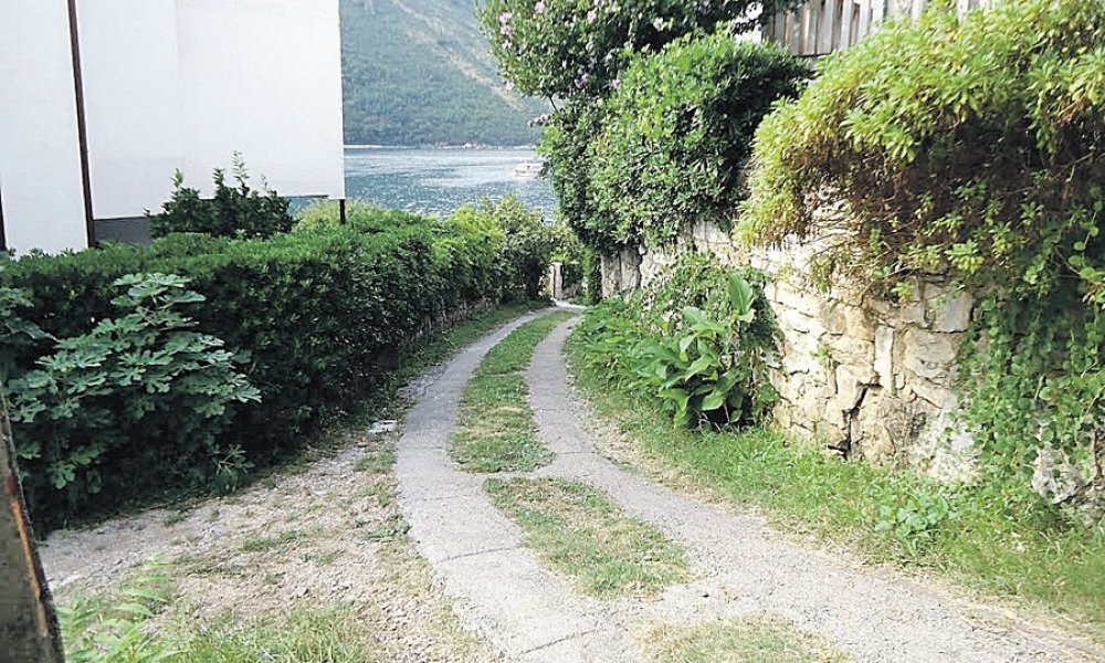neda-ukraden-tivat