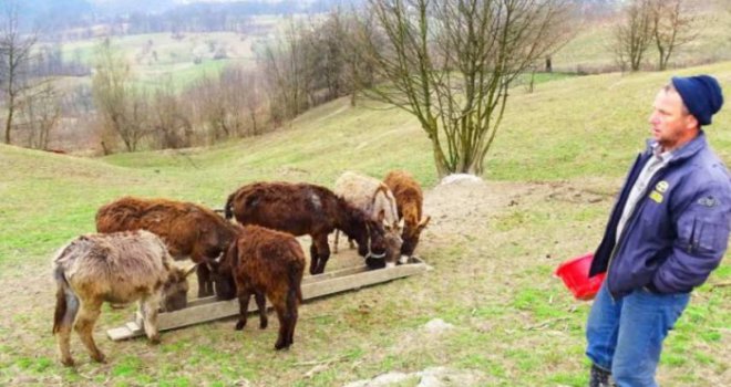 I u BiH se može uspjeti: Smijali mu se zbog ideje, a sad prodaje litar mlijeka za 100 KM