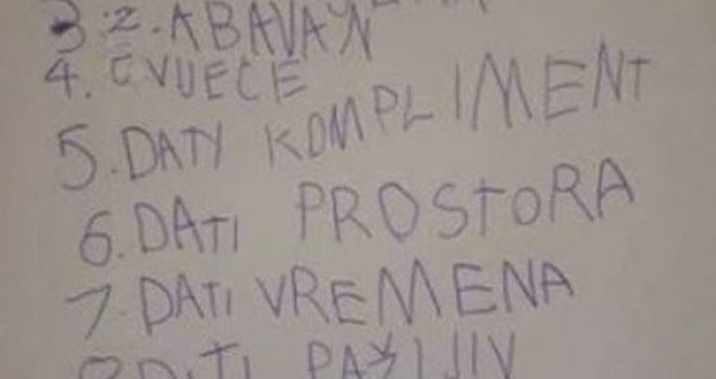 Ko bi mu odolio? Sedmogodišnjak raspametio vodičem kako u 12 koraka osvojiti simpatiju iz razreda