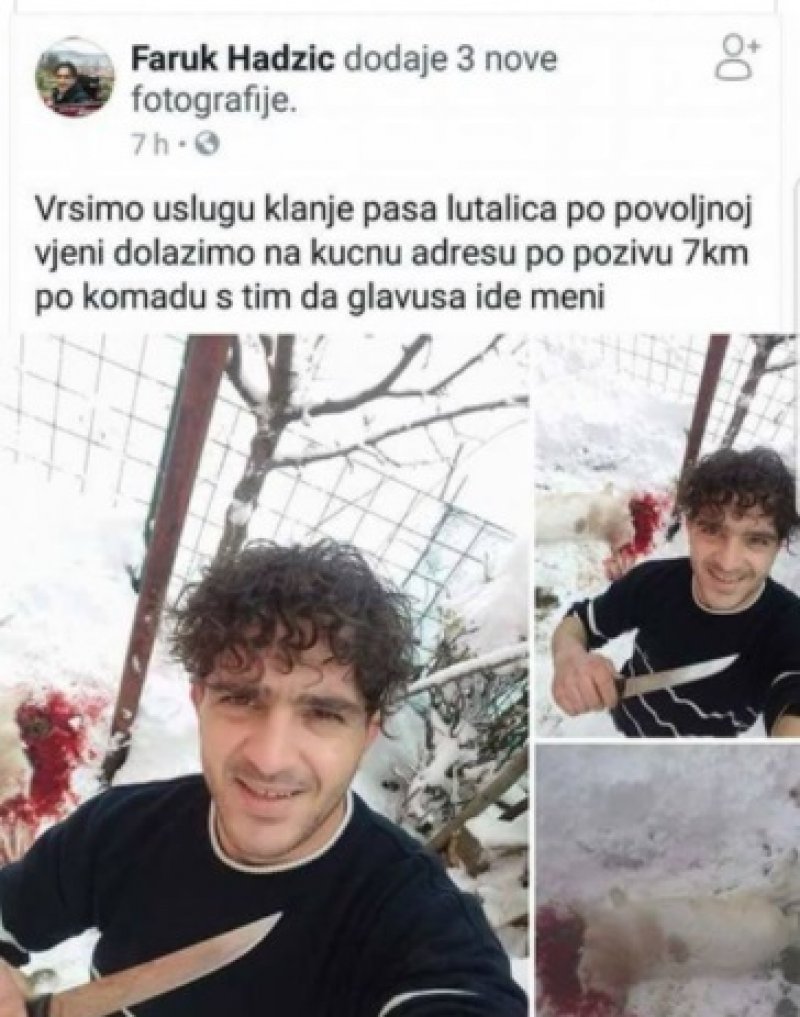 faruk-hadzic