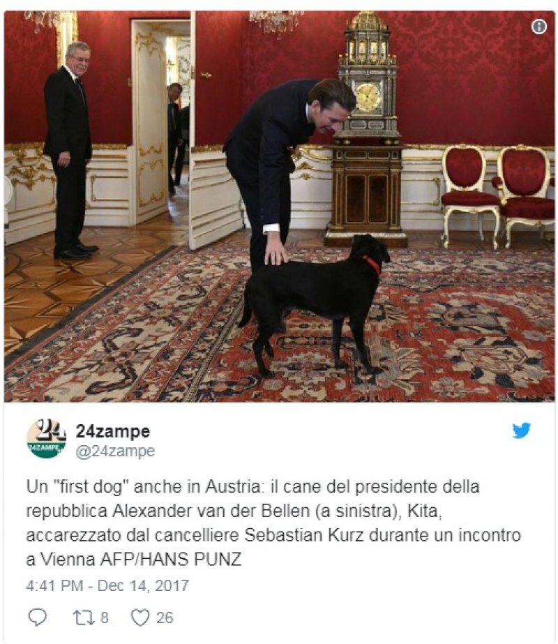 kurz