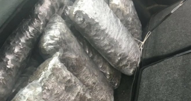 U akciji Akademik uhapšene tri osobe: Oduzeto 14 kilograma skanka, oružje, municija... 
