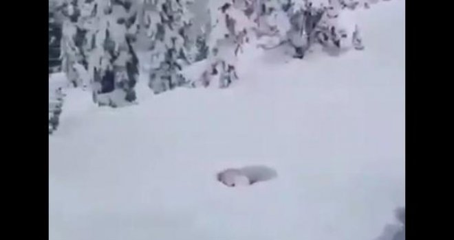Ovaj snimak najbolje pokazuje koliko je snijega napadalo u Krajini: Čovjek skoči i nestade!