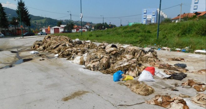 Jeziv prizor na ulazu u Sarajevo: Kurbanske kože odložene pored glavne saobraćajnice, građani uznemireni