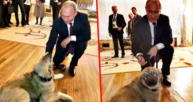 Putin se raznježio: Od Vučića dobio psa Pašu, pa odmah prišao da ga pomazi