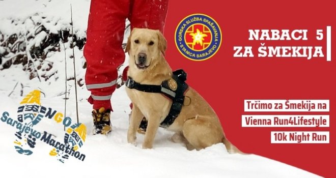 Nabaci 5 za Šmekija: Akcija GSS-a za kupovinu polovnog terenskog vozila i treniranje vrijednog spasioca