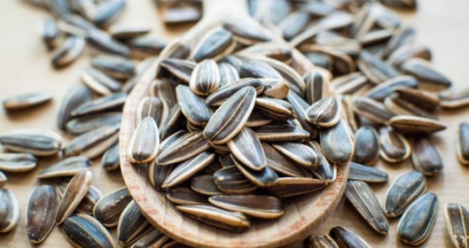 U suncokretovim sjemenkama pronađena salmonela, povlače se iz prodaje