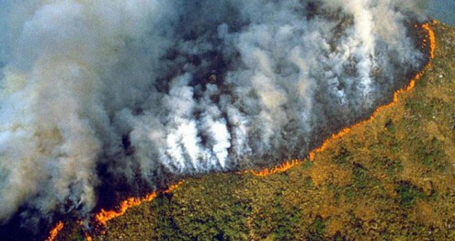 Zemlje G7 su se dogovorile da će čim prije pomoći borbi protiv požara u amazonskoj prašumi