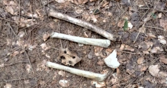 Ekshumacija u Turalićima: Pronađeni nekompletni posmrtni ostaci tri žrtve