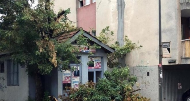 Olujno nevrijeme u Mostaru: Porušena stabla, nekoliko naselja ostalo bez struje