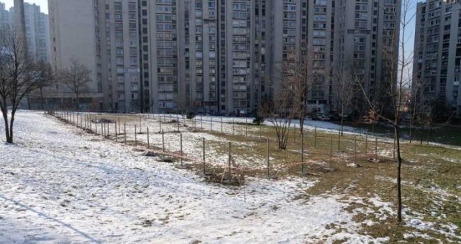 Sarajevo dobija još jedan park za pse: Evo gdje ćete moći odvesti ljubimce na druženje