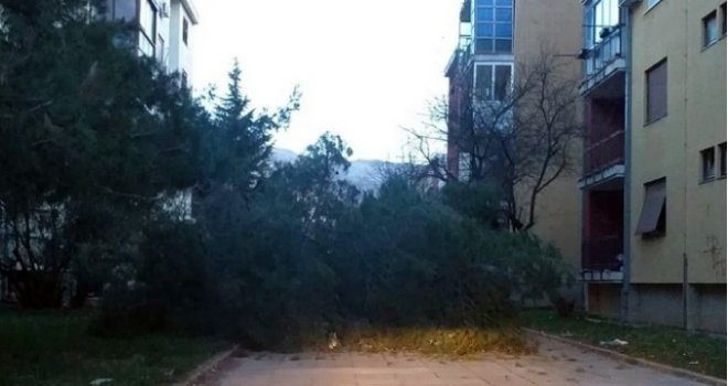 Udari vjetra u Trebinju i do 100 kilometara na sat lomili stabla