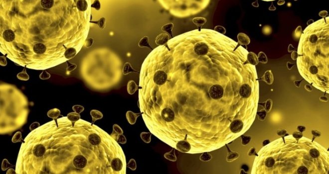 Nova dva slučaja u FBiH: Koronavirusom zaraženi građani Bihaća i Visokog