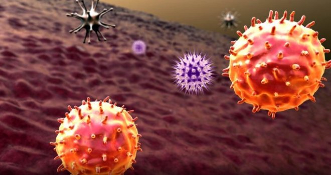 Novo istraživanje o mutacijama virusa SARS-CoV-2 donijelo sjajne vijesti: ‘Ovo pruža nadu!‘