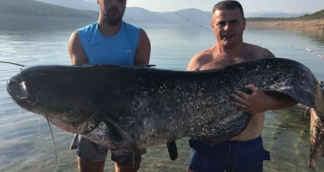 Opet aždaja u Bilećkom jezeru, Radoslavu se posrećilo: Malo je falilo za prvi ulov soma od 100 kilograma