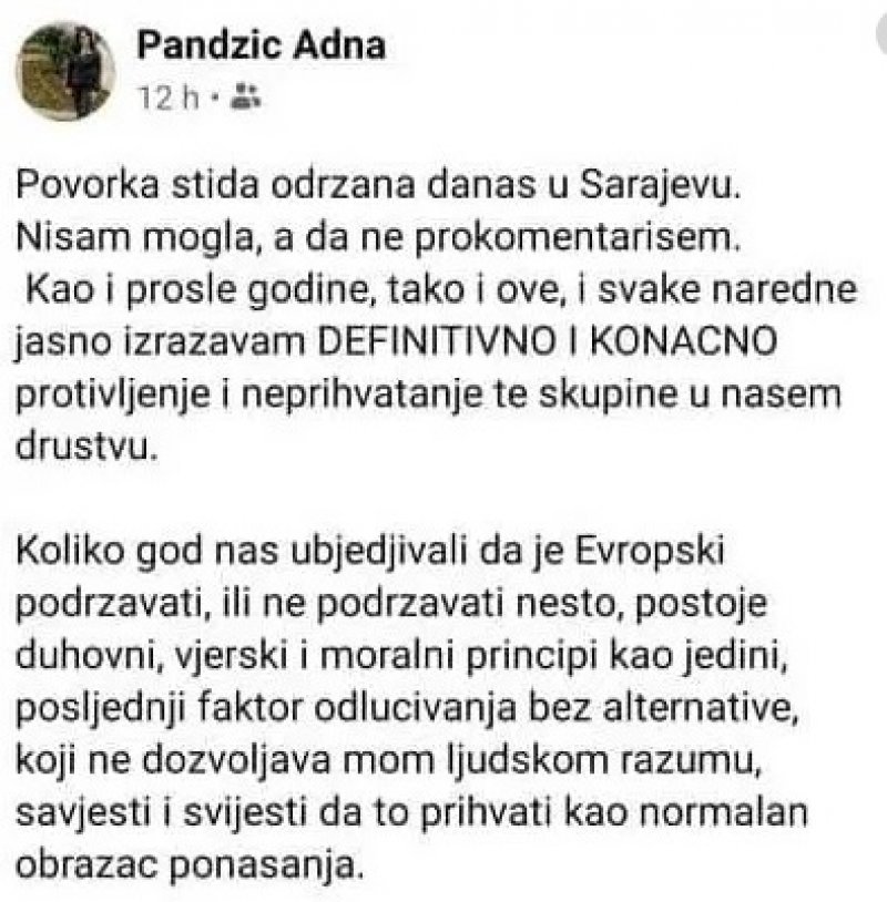 adna-pandzic-status