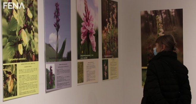 Zemaljski muzej obilježio 133 godine uz Hagadu, orhideje i kafu 