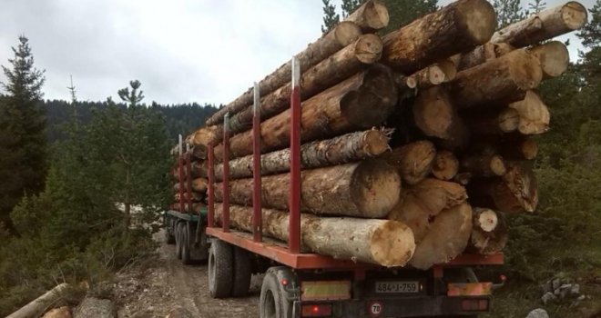 Drvni sektor BiH nastavio trend rasta izvoza i u prva dva mjeseca ove godine