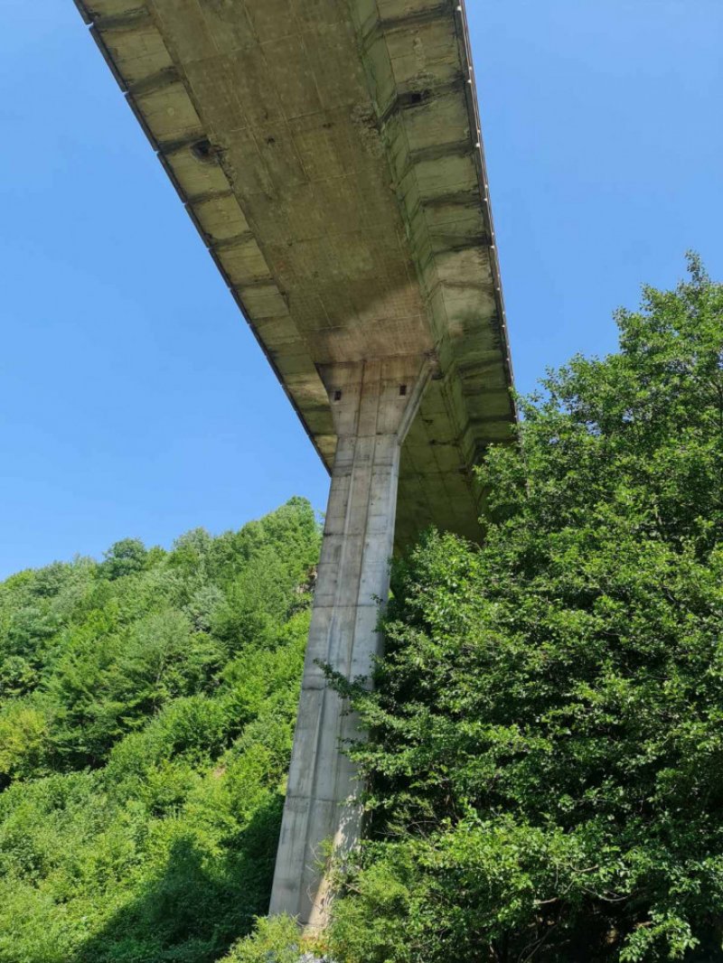 most-dariva-miljacka