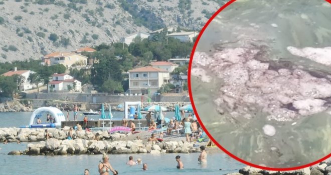Haos na plaži na hrvatskoj obali: Djeca imaju proljev i povraćaju! Gradonačelnik kaže da more cvjeta, a kupači da plivaju u fekalijama...